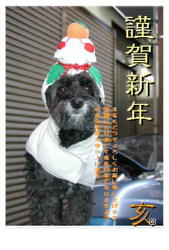 2007年賀状
