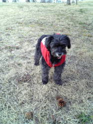 ���i�Ə��ڂ�����