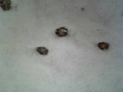 ���i�̑�����