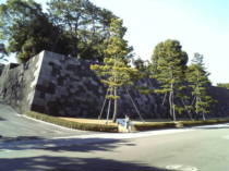 �c�����䉑