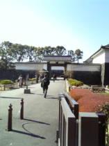 �c�����䉑