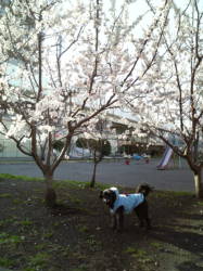 ���i�Ƃ�����