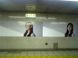 �V�_����