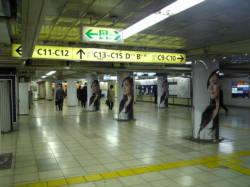 �V�_����