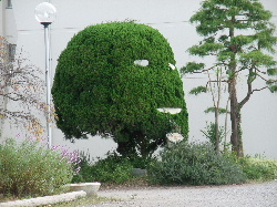 �d�b�{�b�N�X