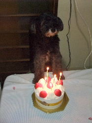 ���i�a�����j��