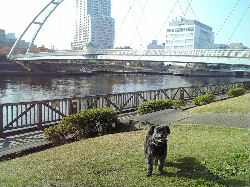 ���C�ȃ��i