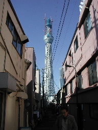 SKY TREE