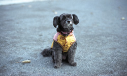 �����B��