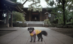 �����B��