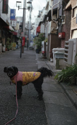 �����B��