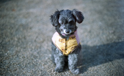 �����B��