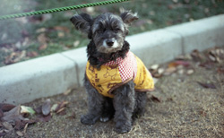 �����B��