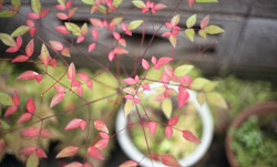 �����B��