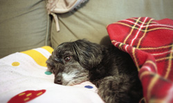 �����B��