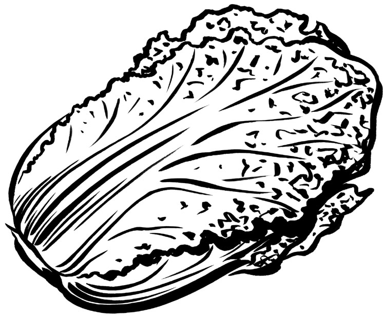 hakusai