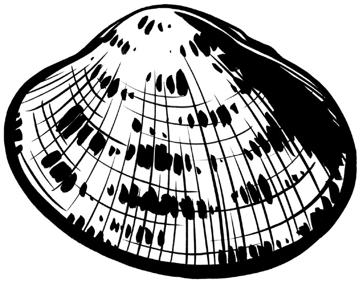 hamaguri