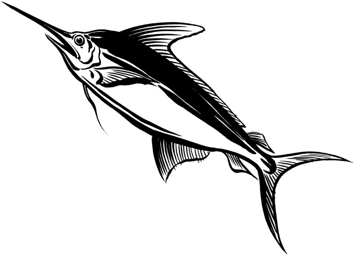 kaziki