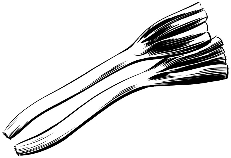 negi