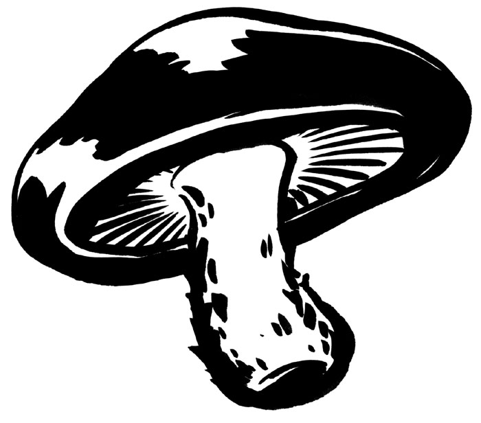 shiitake