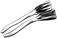 negi