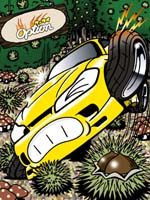 08