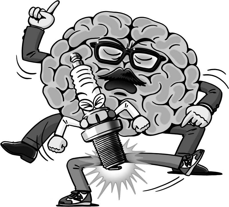 brain