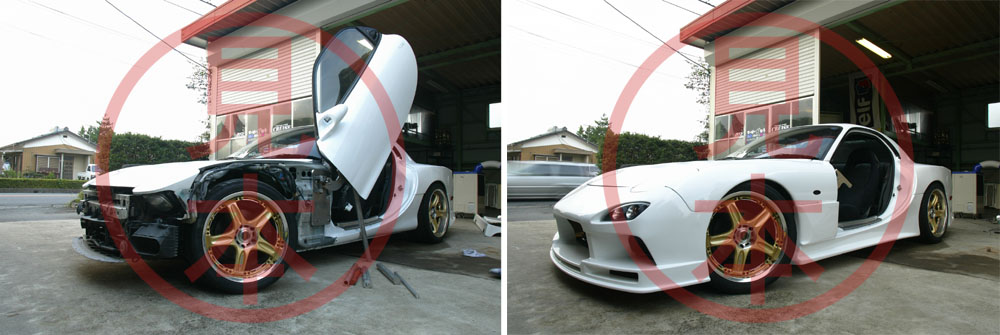 fd_gull_original