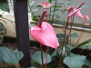 DSCF0106_thumb.png