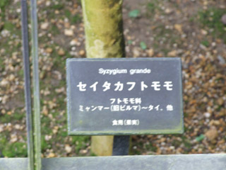 DSCF0130.jpg