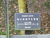 DSCF0130_thumb.png