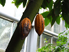 DSCF0131_thumb.png