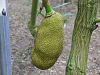 DSCF0132_thumb.png