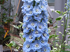 DSCF0147_thumb.png
