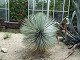 DSCF0170_thumb.jpg
