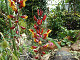 DSCF0181_thumb.jpg