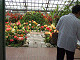 DSCF0182_thumb.jpg