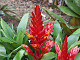 DSCF0191_thumb.jpg