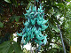 DSCF0197_thumb.jpg