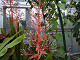 DSCF0198_thumb.jpg