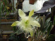 DSCF0201_thumb.jpg