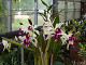 DSCF0205_thumb.jpg