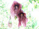 DSCF0210_thumb.jpg