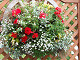 DSCF0244_thumb.jpg